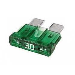 [1AF1290-17] FUSIBLE #30 